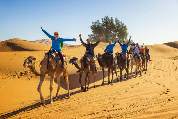 What to Do in Merzouga Desert