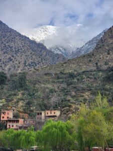 Excursion from Marrakech to Ourika Valley