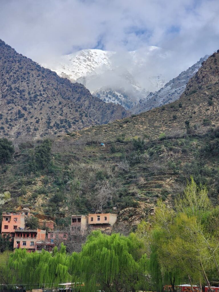 Excursion from Marrakech to Ourika Valley